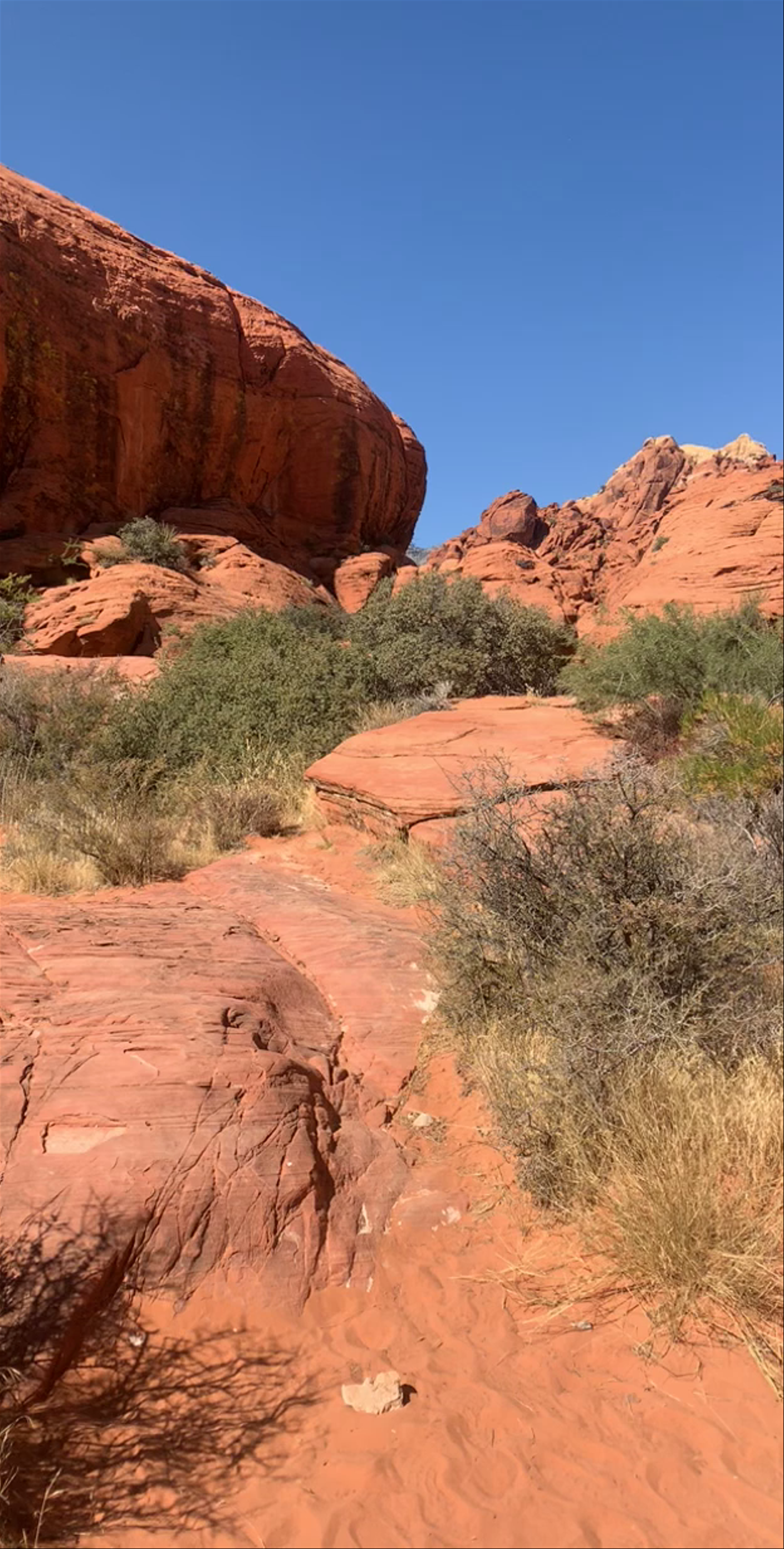 Red Rock Canyon National Conservation Area