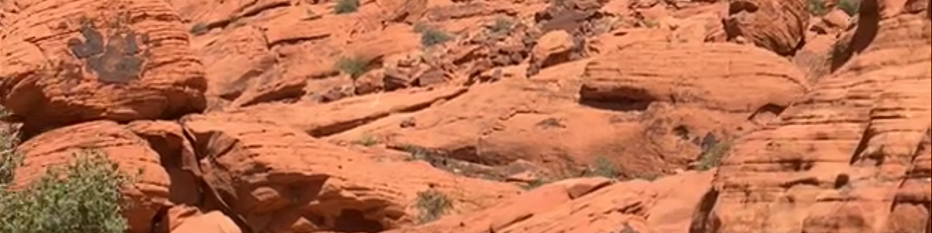 Red Rock Canyon National Conservation Area