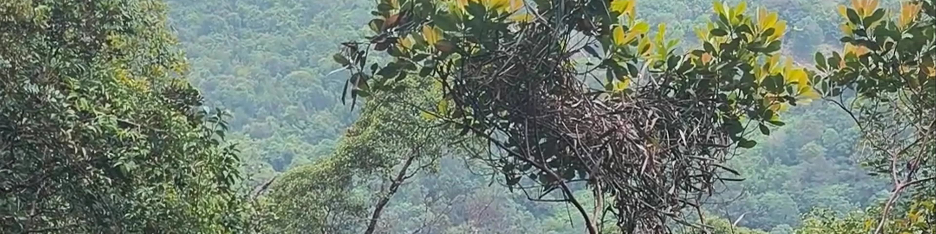 Kubah National Park