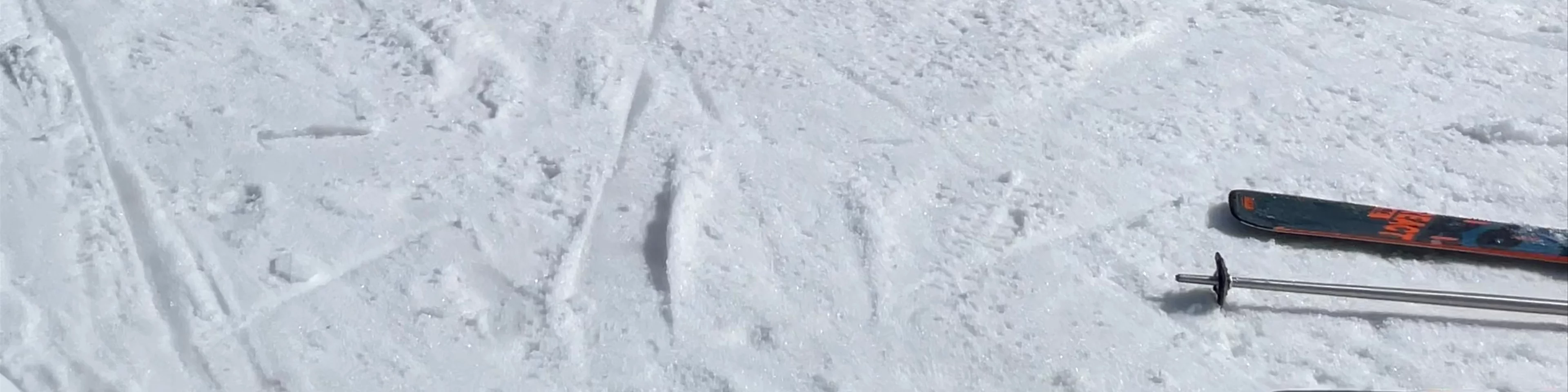 Bergerie de Planpraz