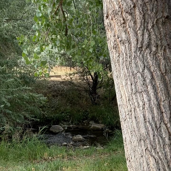 Buffalo KOA - Morning coffee by creek in the back - RV Parks Near Me - Buffalo, Wyoming