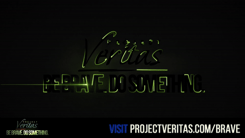 Video Thumbnail Loop