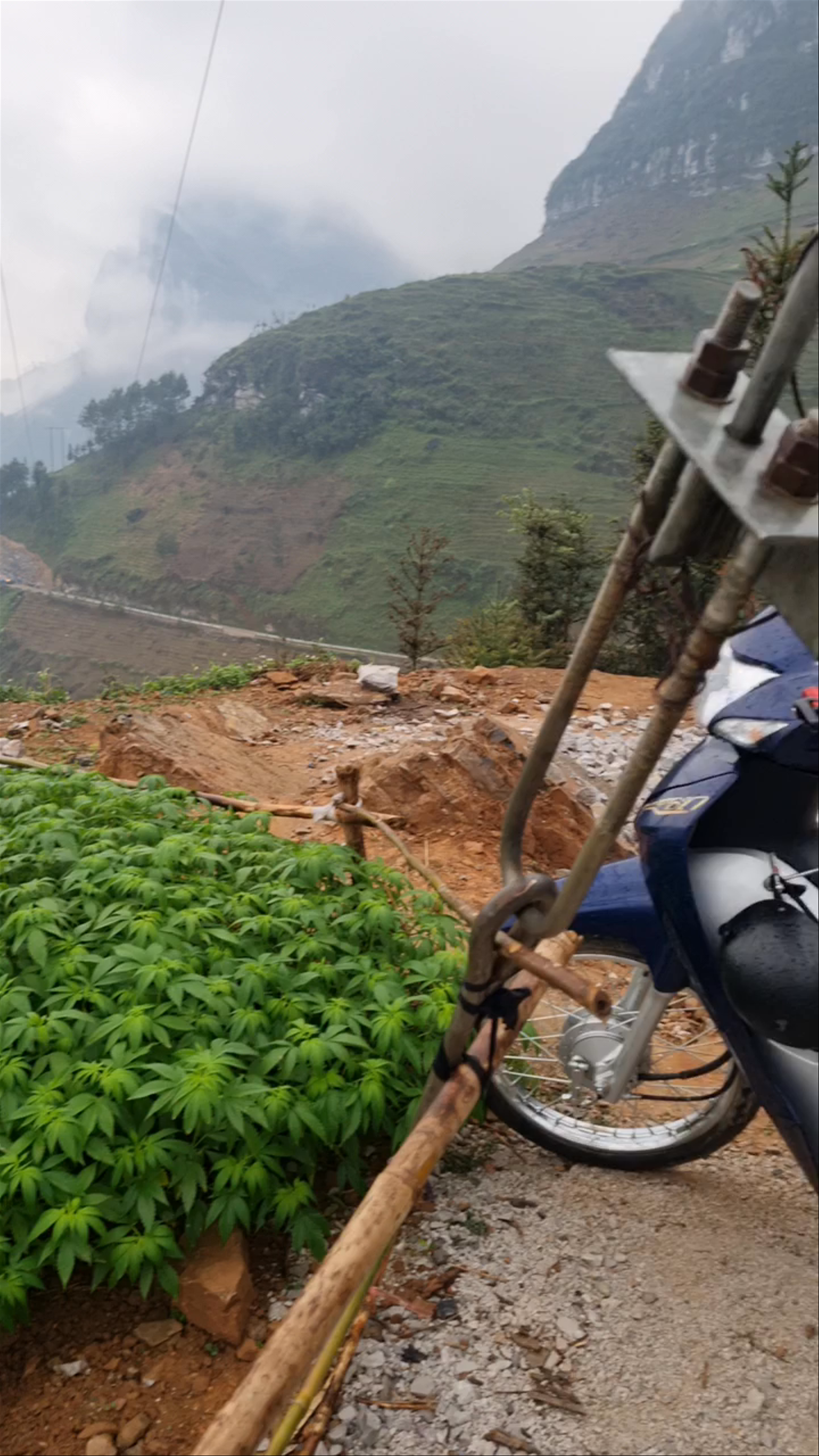 Mã Pì Lèng EcoLodge