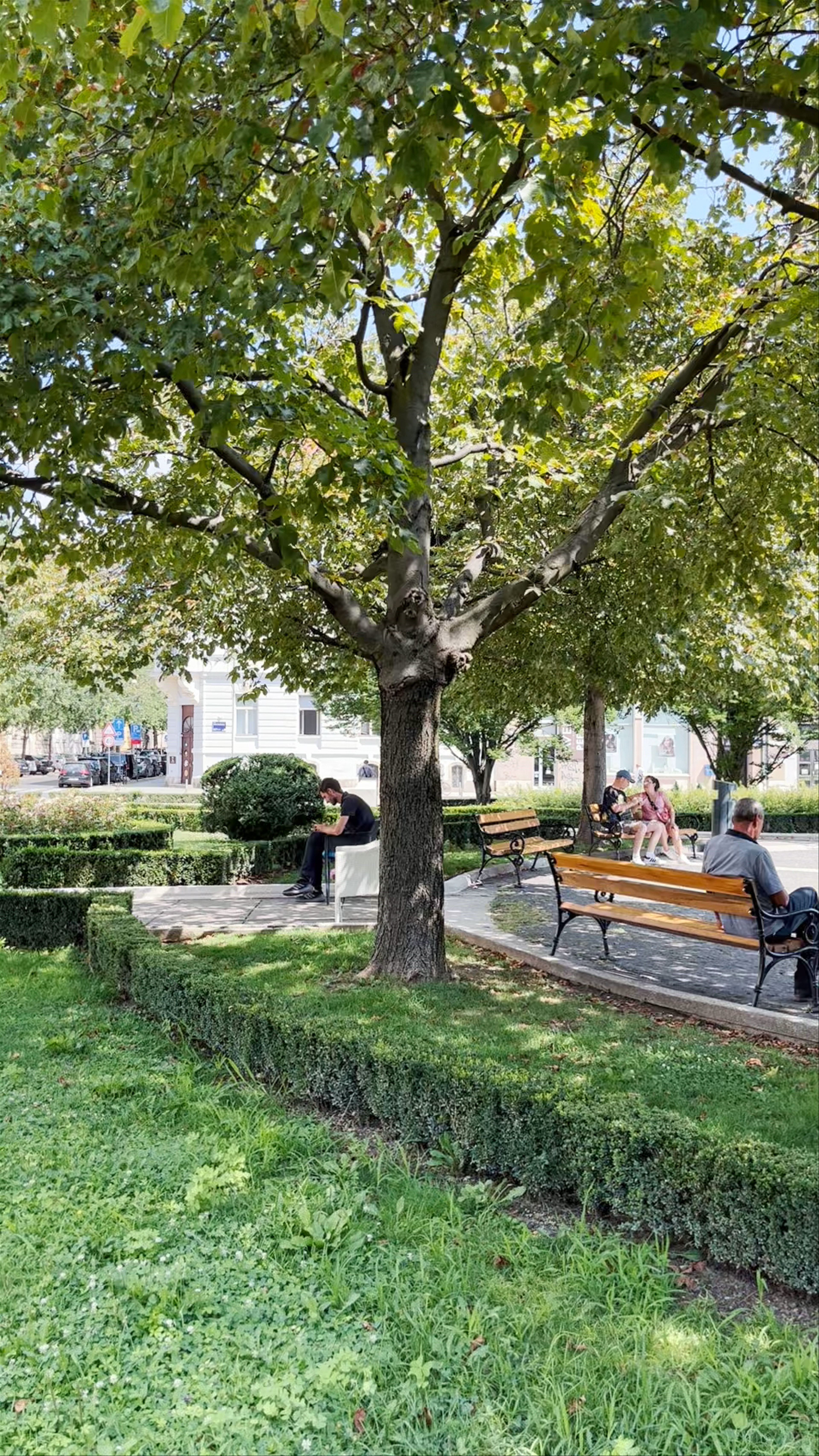 Sunny Serenity at Hotel Esplanade Zagreb and Adjacent Park