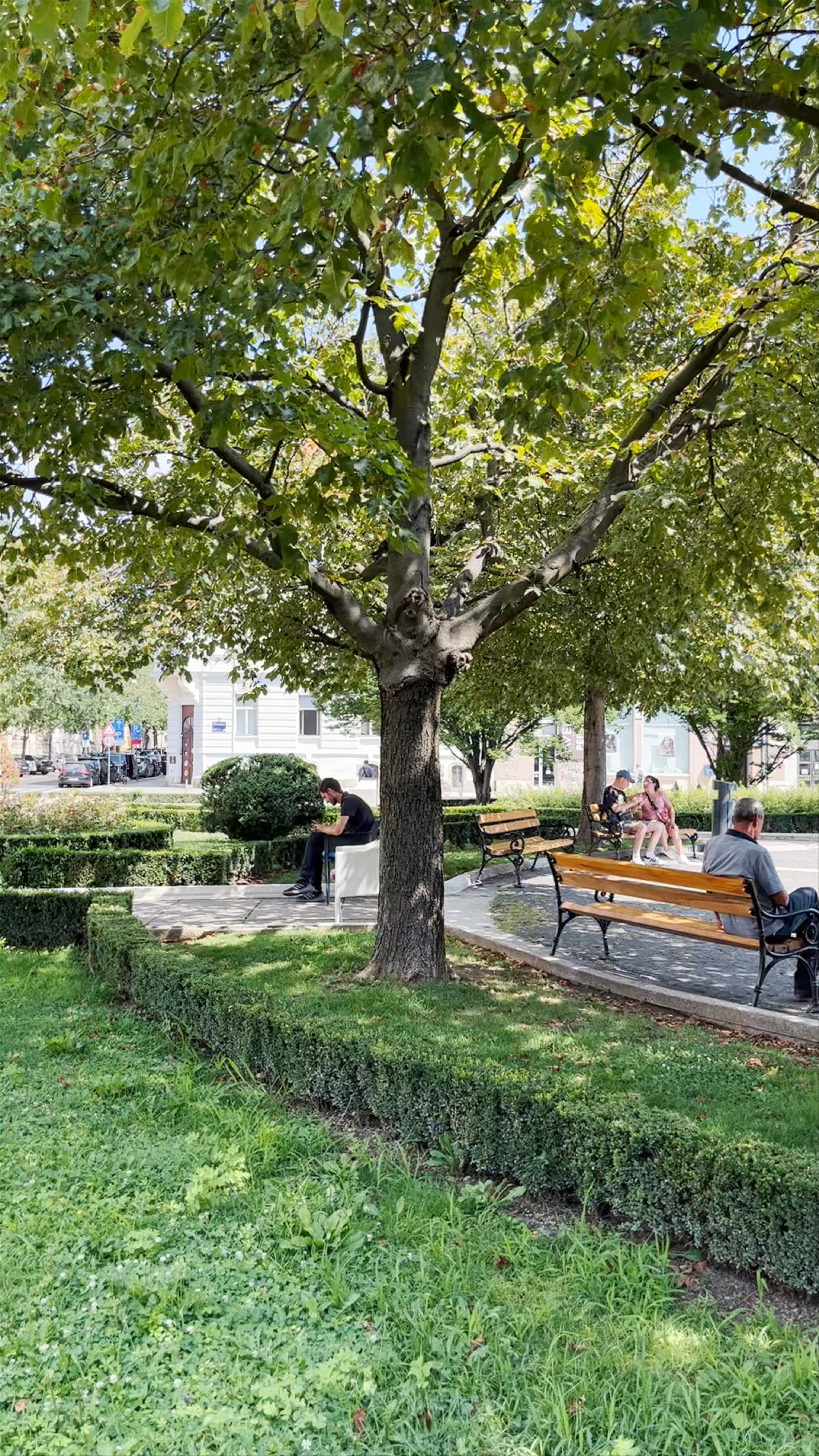 Hotel Esplanade Zagreb, Mihanovićeva ulica