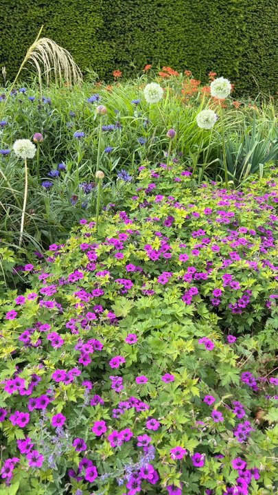 Powerscourt Gardens & House - Parks Near Me - Enniskerry, WW