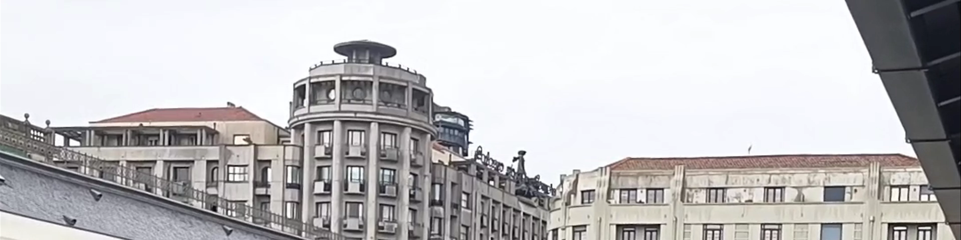 O Pintainho 36