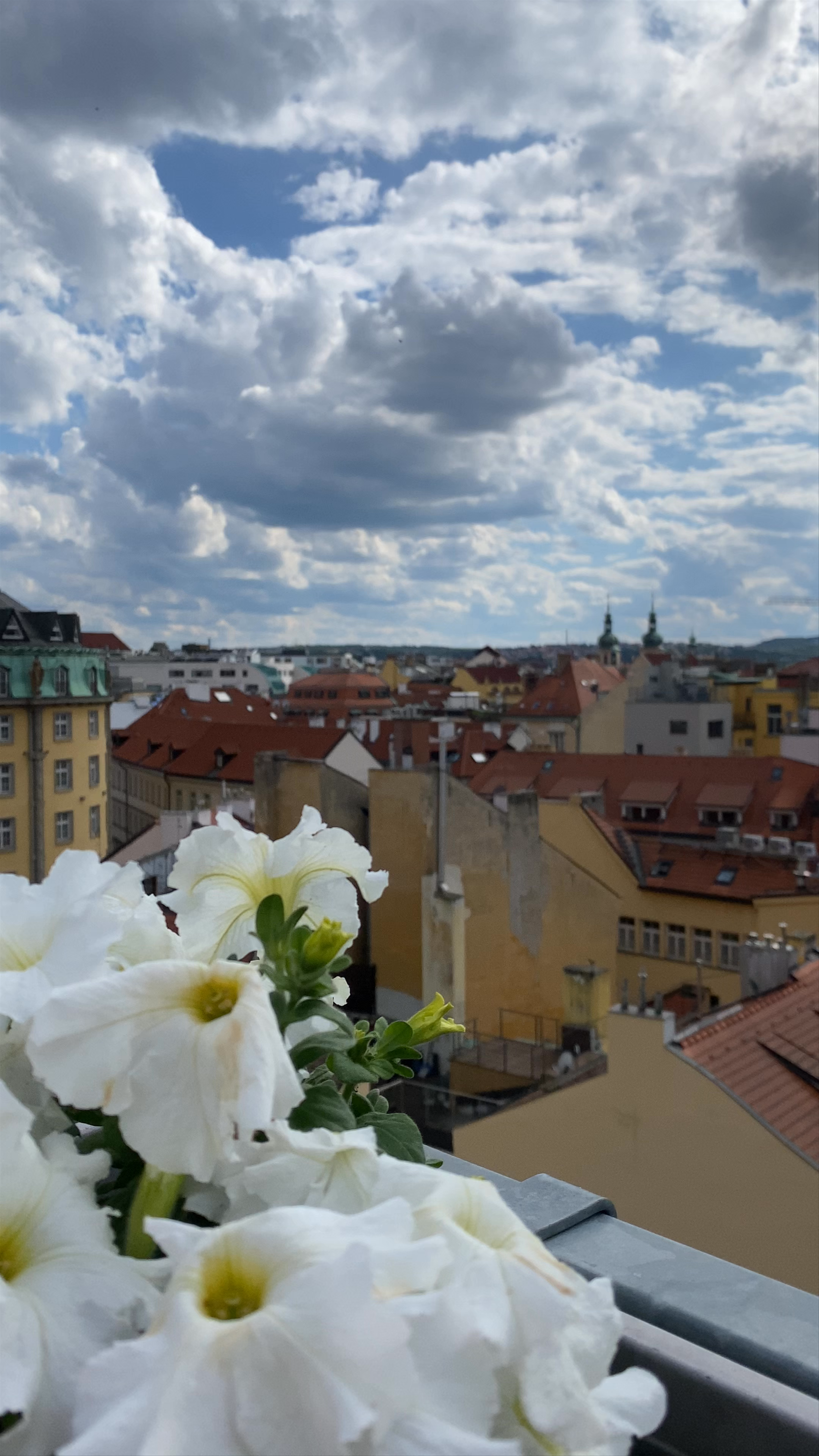T-Anker Rooftop Views: A Serene Escape Over Old Town Prague