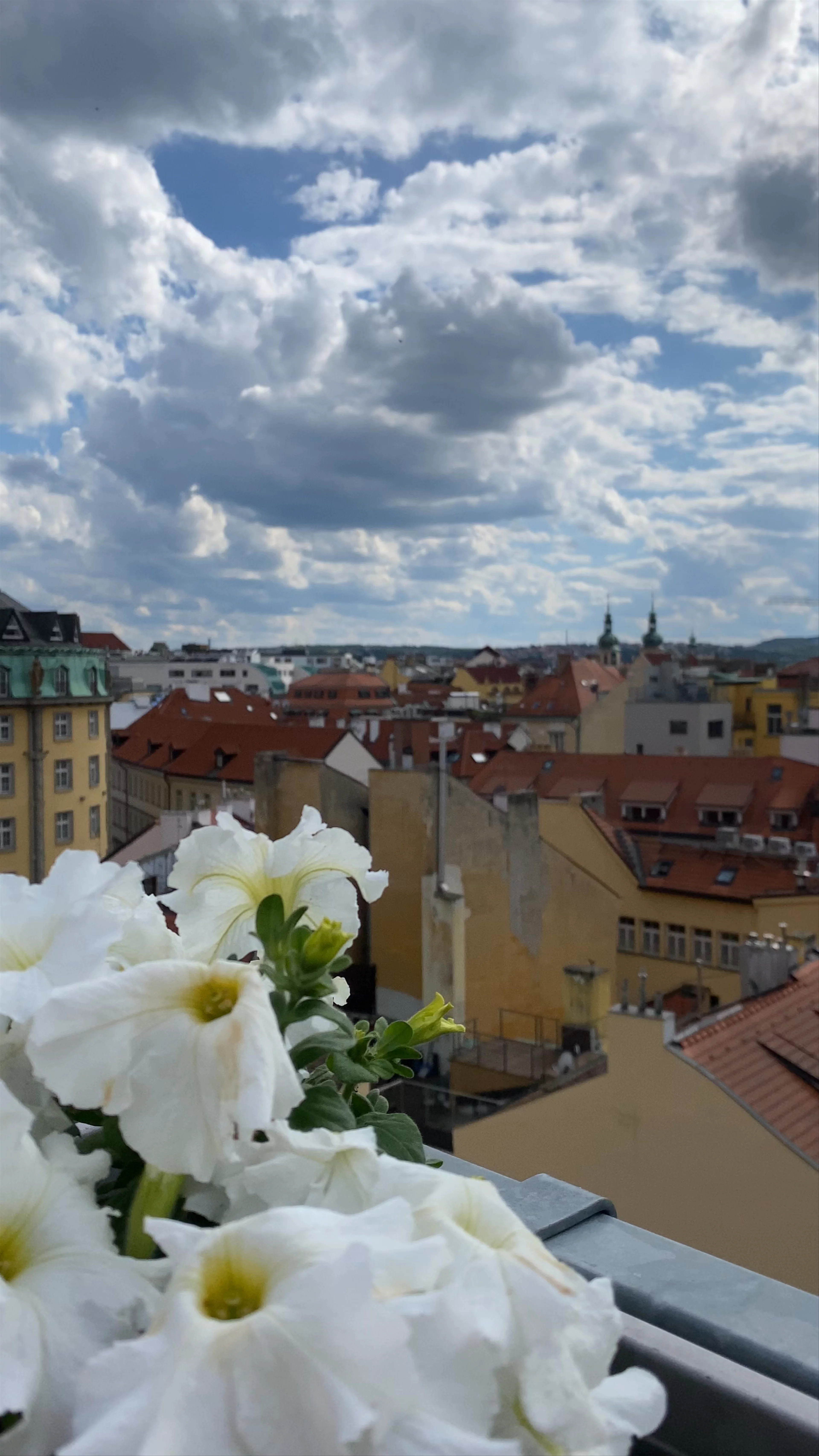 T-Anker, Old Town