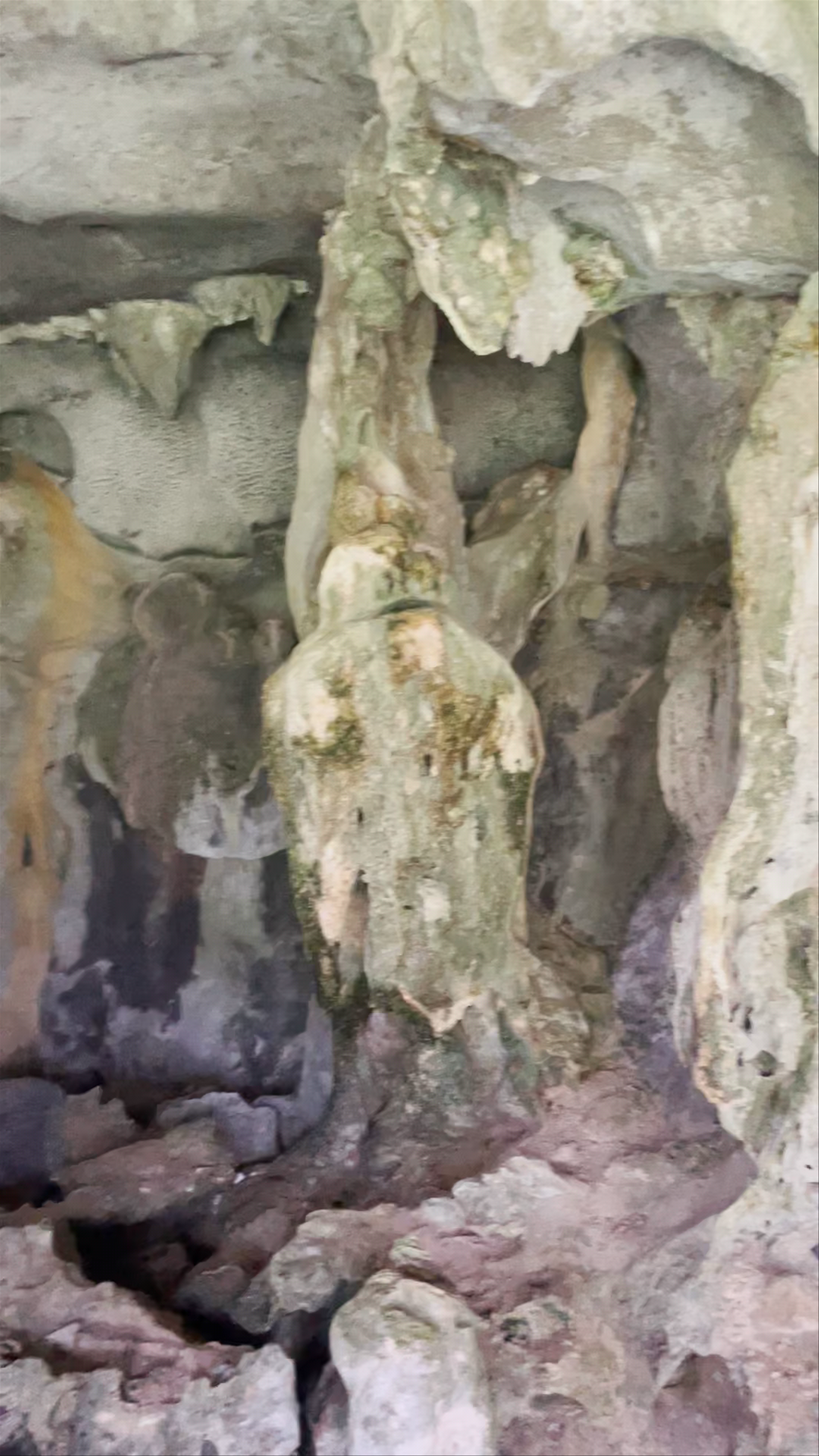 Trung Trang Cave