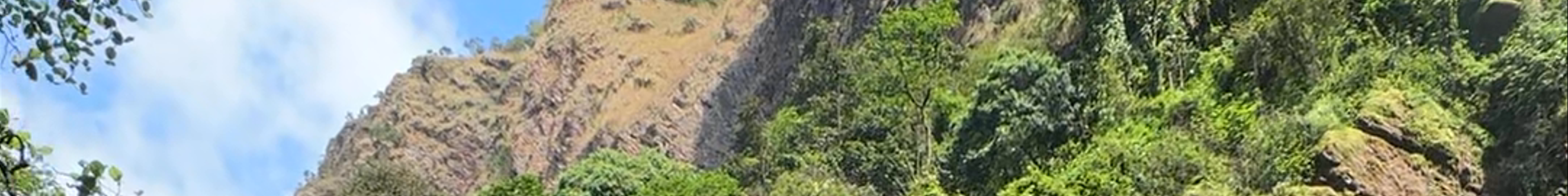 Tours & experiences in Hohoe