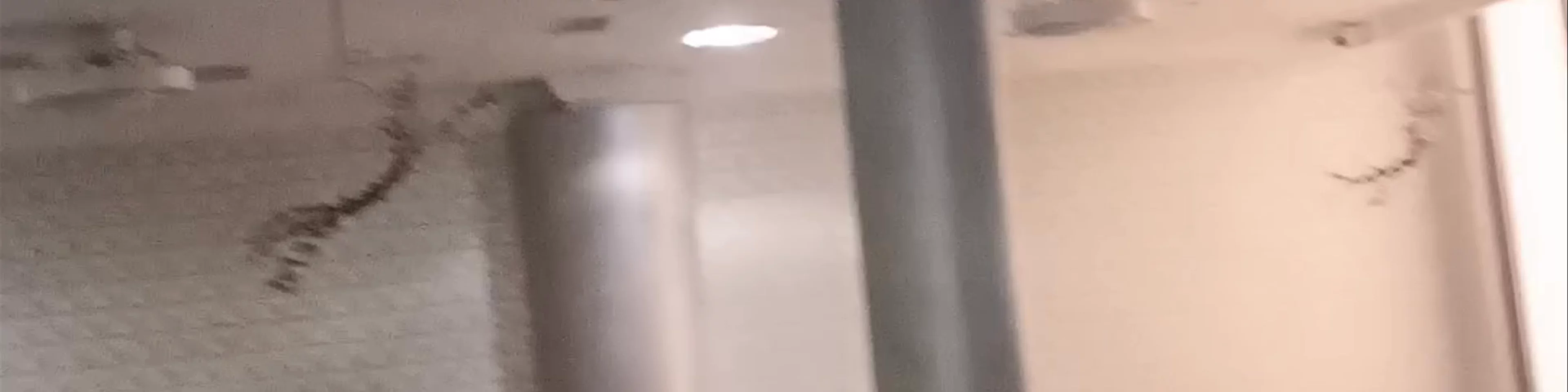 Heladería Antártida