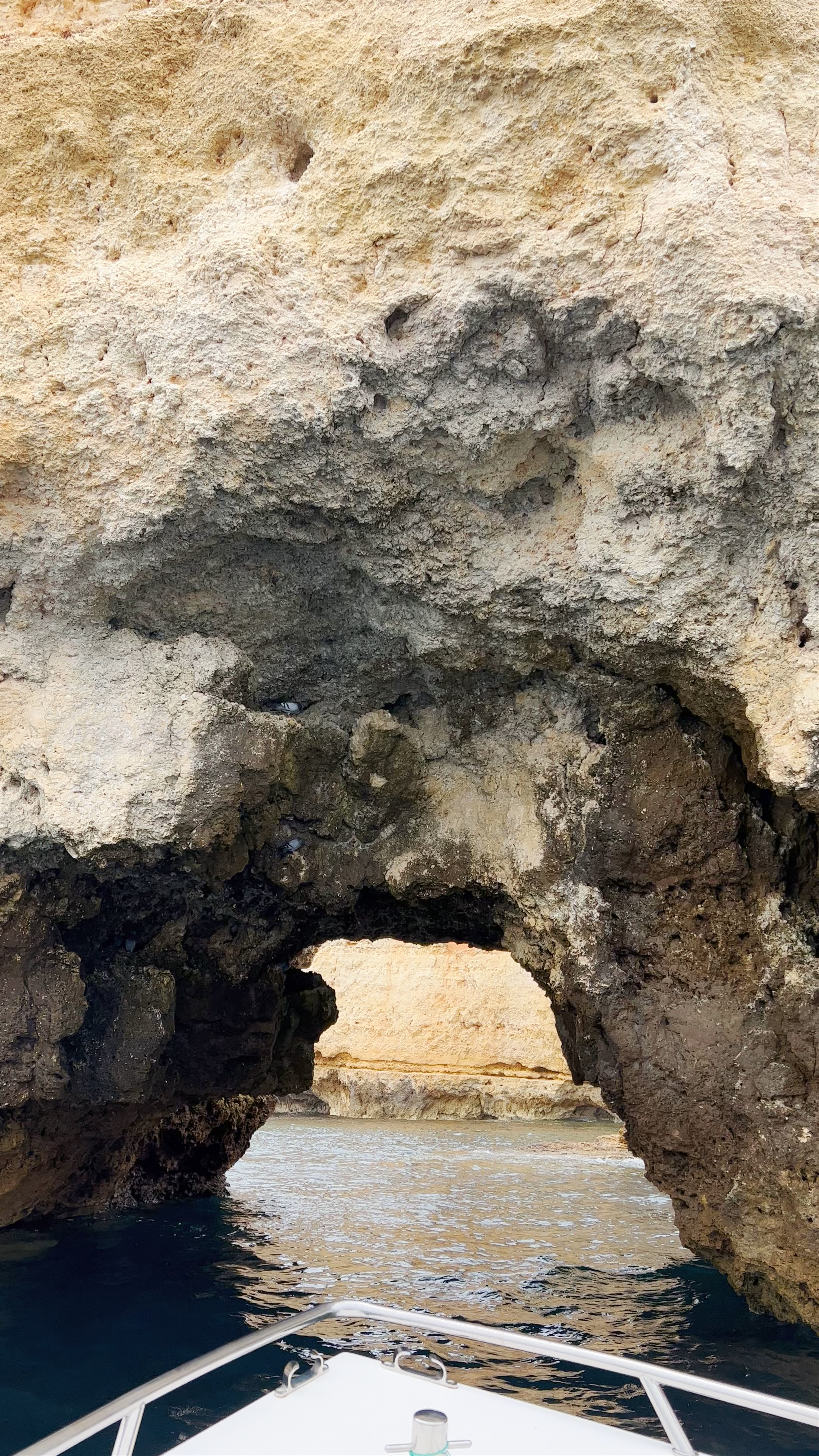 Marina Boat Charters Lagos Algarve Portugal