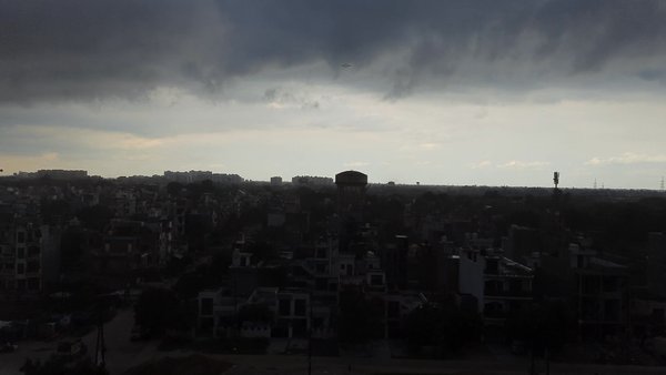 Photo of Can You Spot The Pla