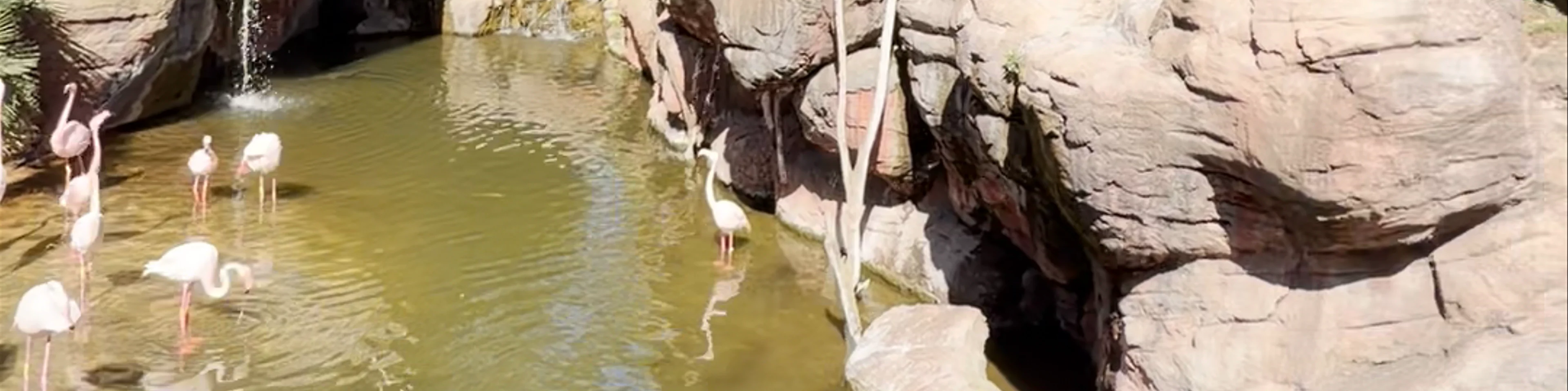Bioparc