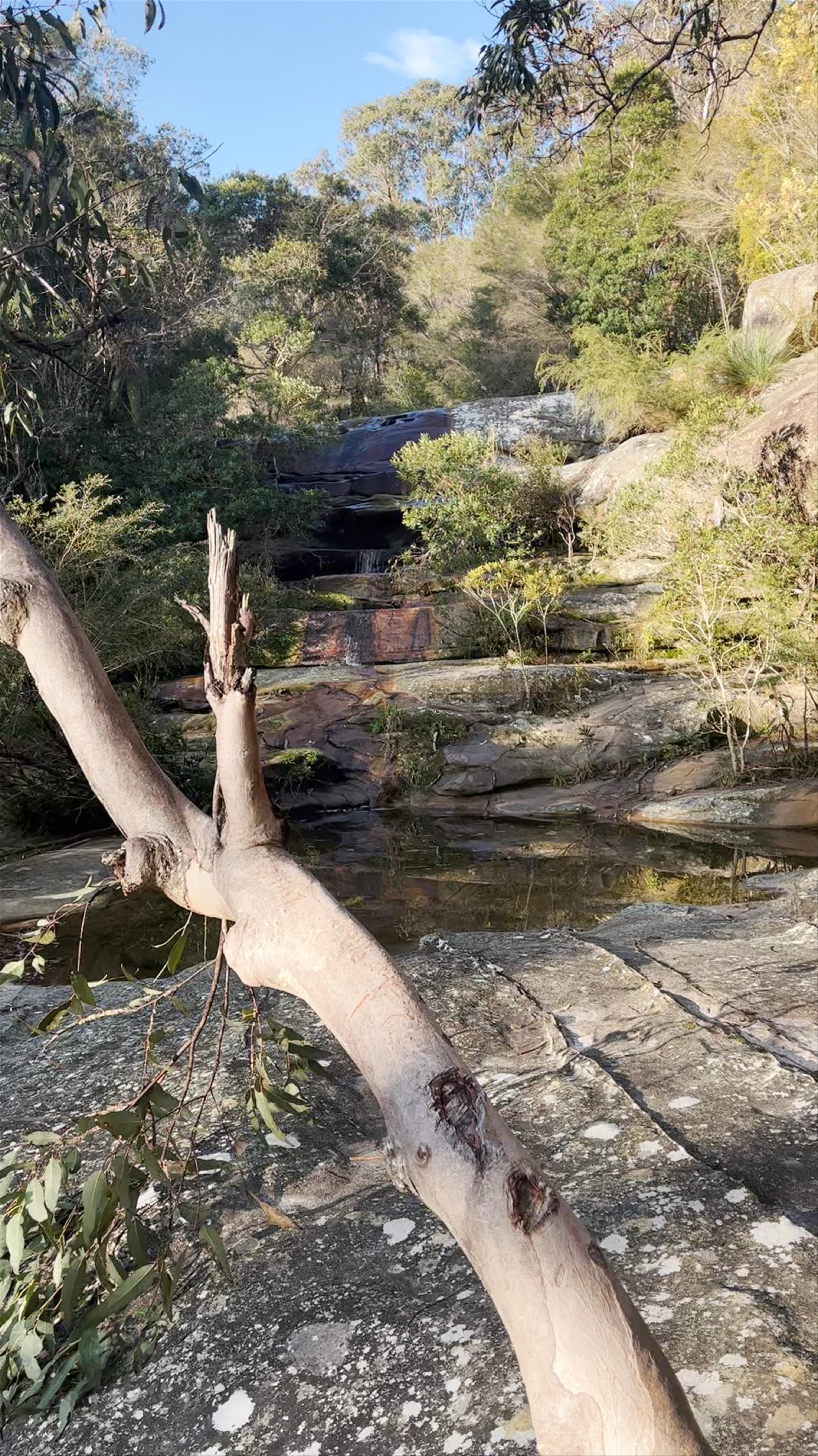 Somersby Falls Walking Track: A Tranquil Waterfall Escape in New South Wales
