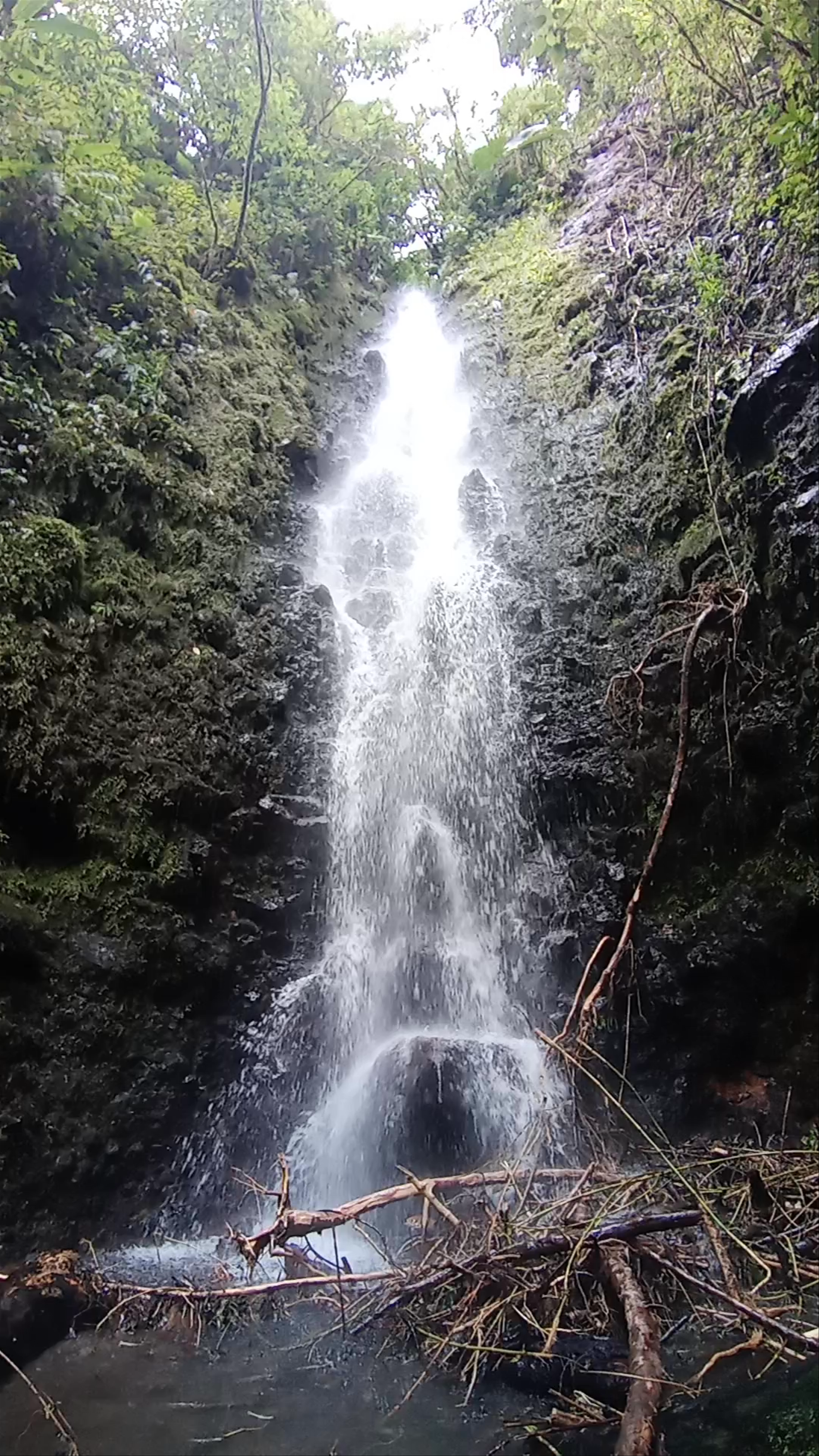 Catarata Cabeza de Tortuga