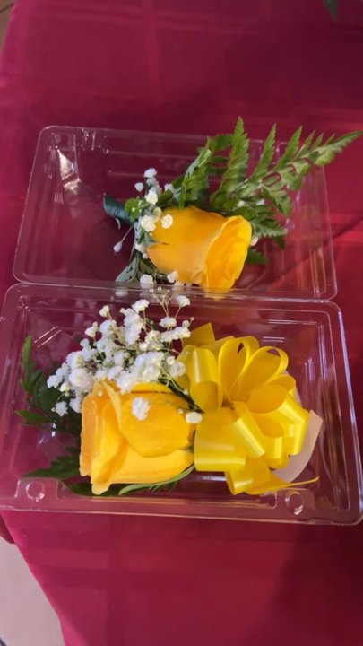 Tucson Flower Stop - Nurseries & Gardening Near Me - Tucson, Arizona