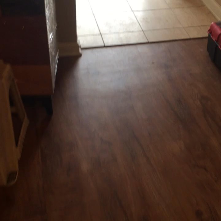 Cardinal Moving - Them moving my stuff - Movers Near Me - Louisville, Kentucky