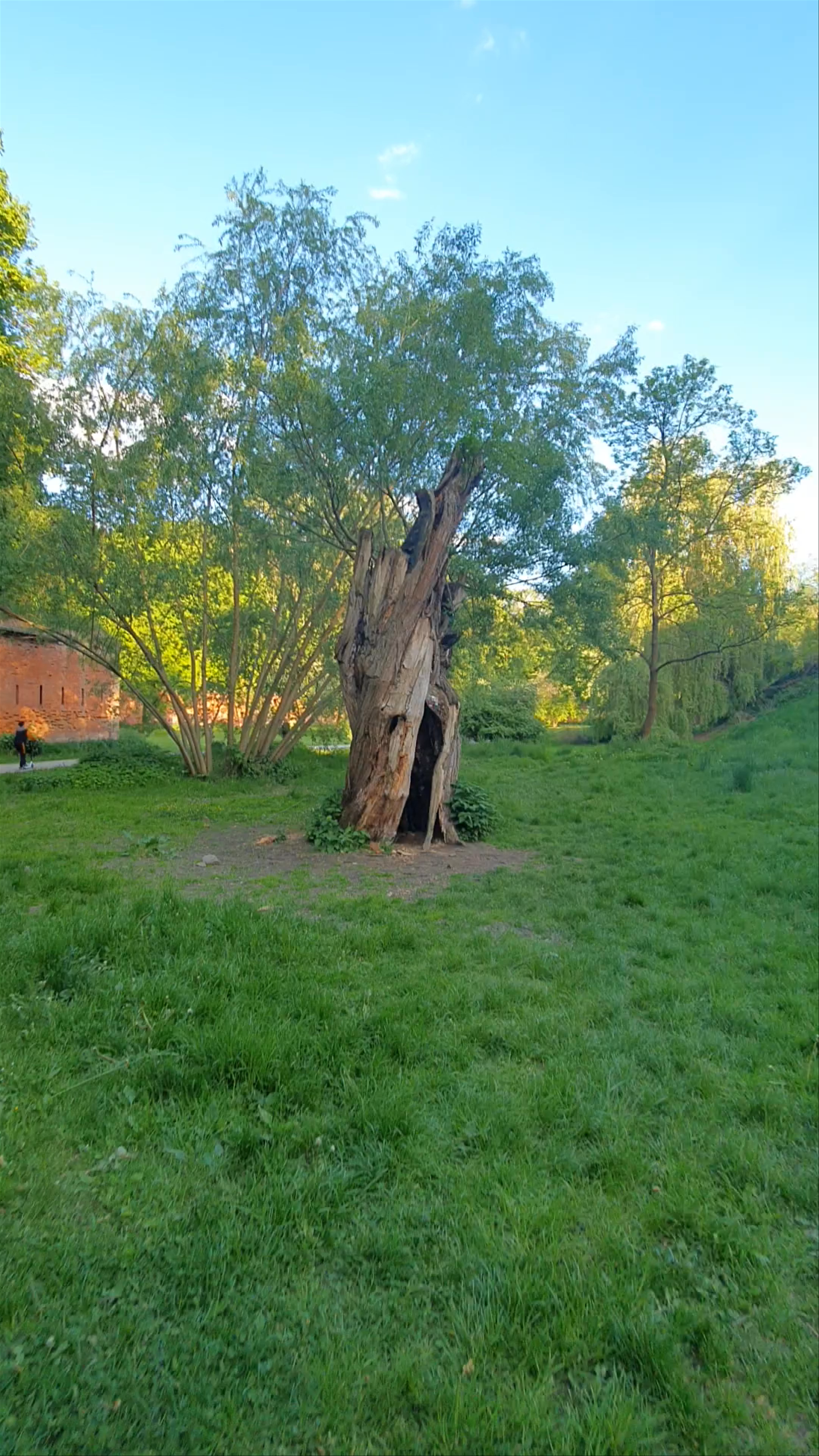 Wierzbowa Świątynia