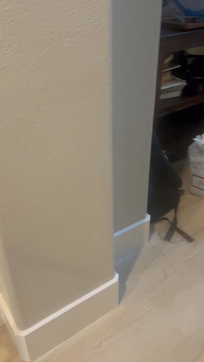RG Drywall and Builder - General Contractors Near Me