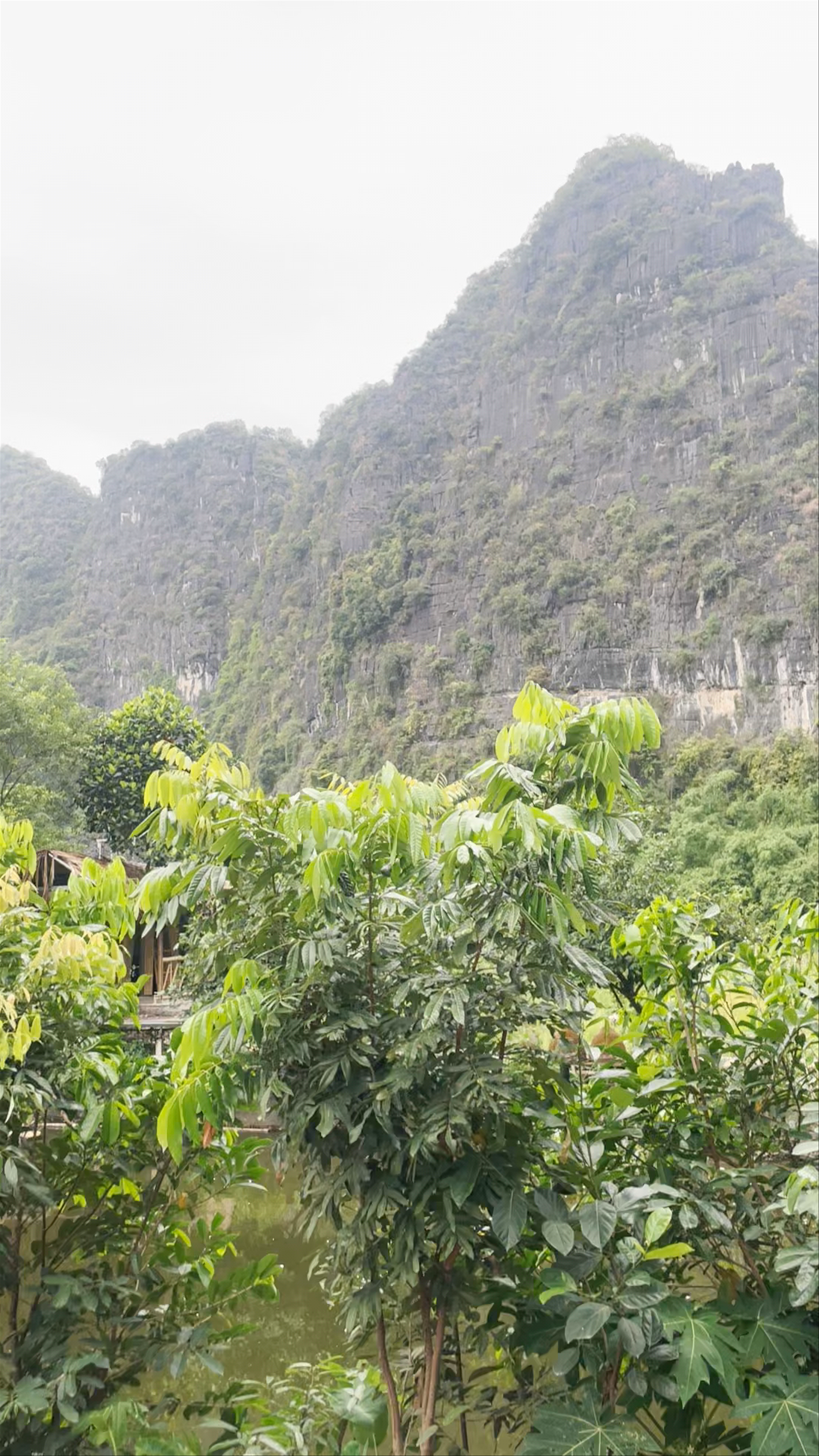 Lush Limestone Mountains and Village Life at Dundj Field, Nam Hoa Lu, Ninh Binh, Vietnam