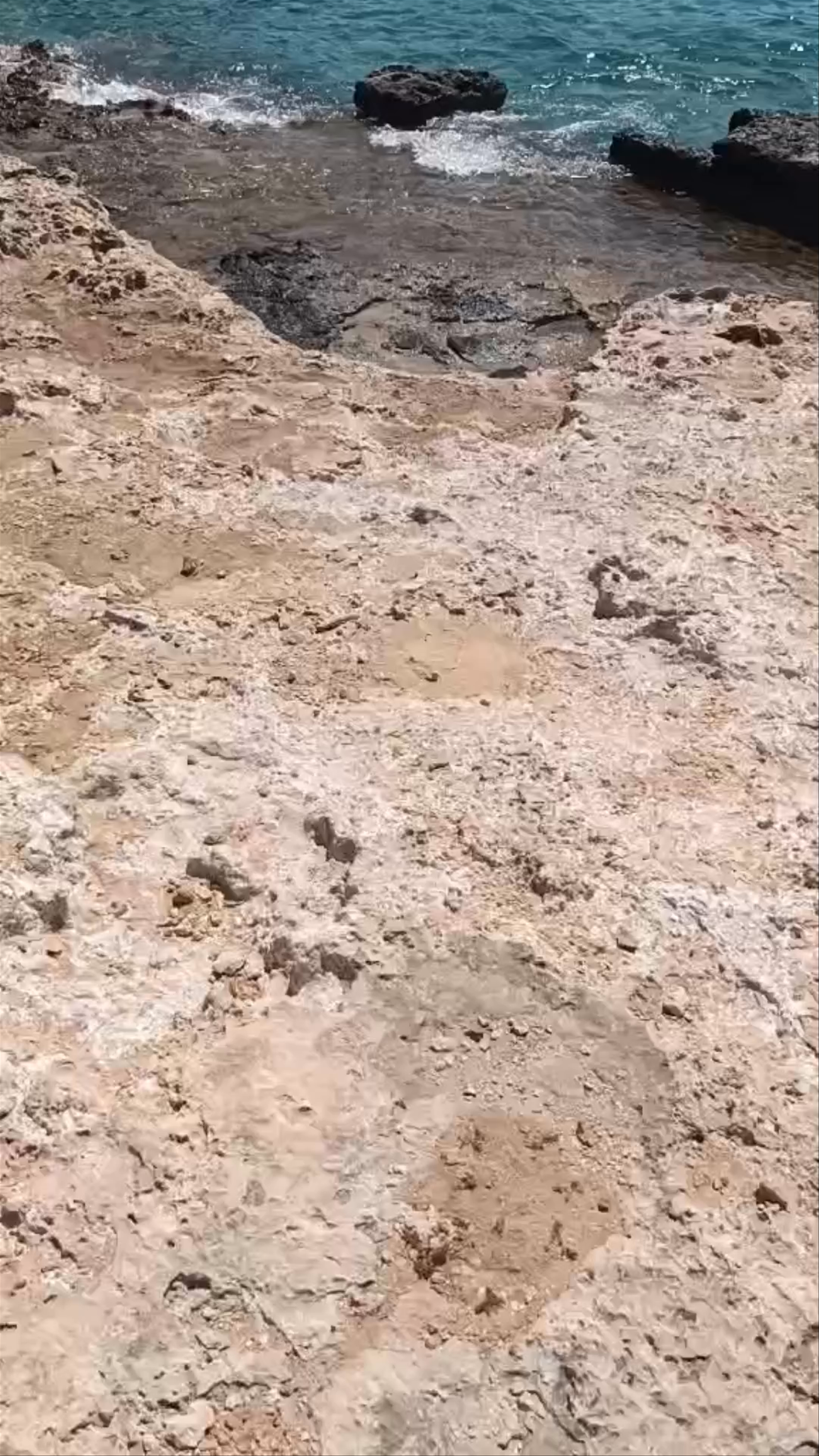 Μονή Αίγινας