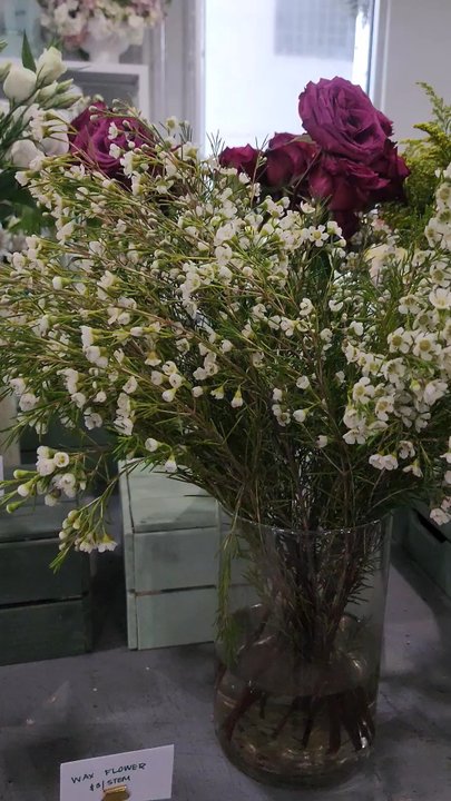 Got Flowers Jax - Inside the flower shop. - Florists Near Me - Jacksonville, Florida
