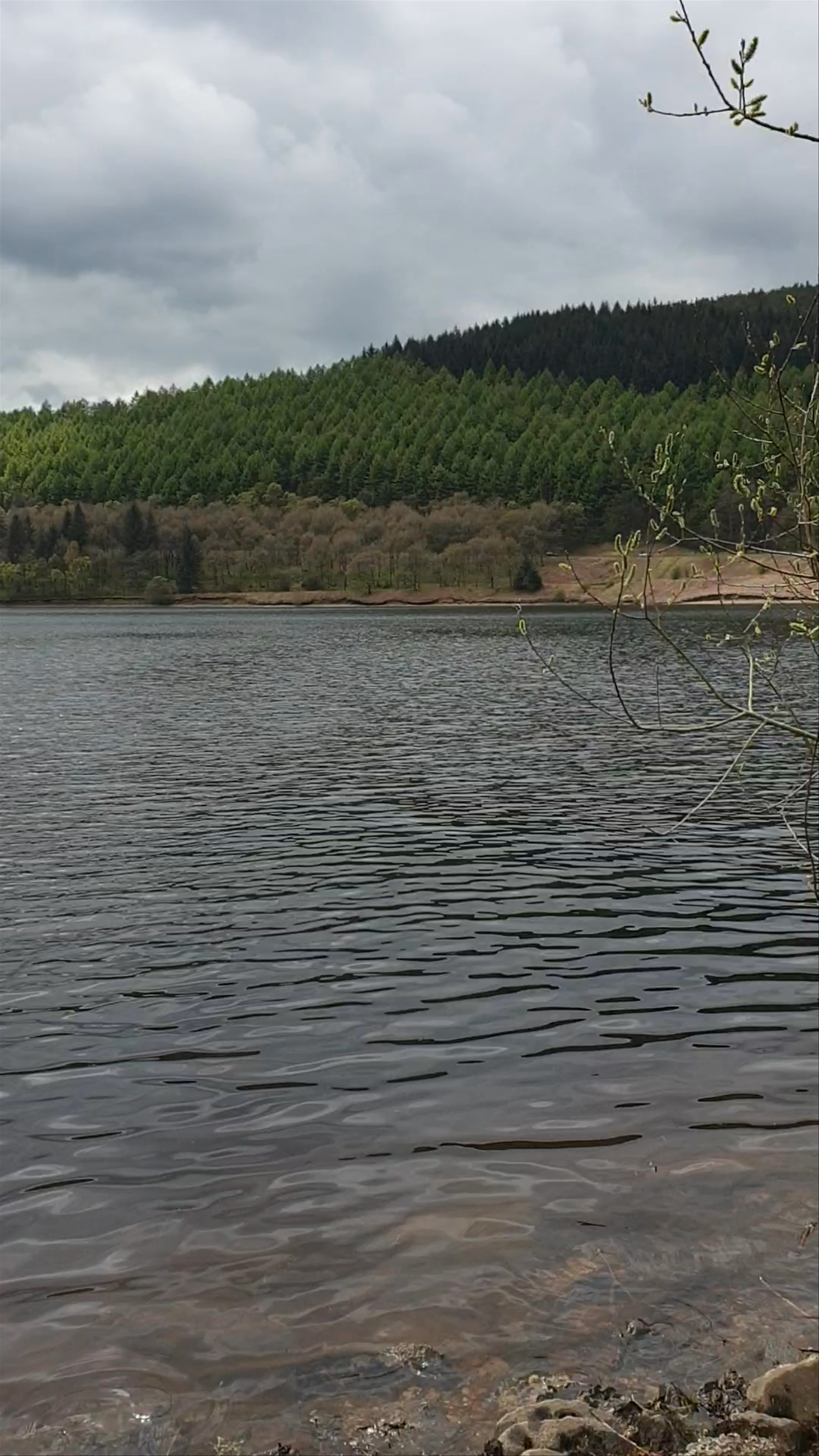 Tranquil Views of Ladybower Reservoir in Hope Valley, England