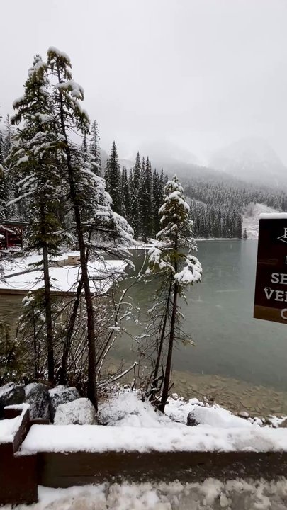 Emerald Lake - Hiking Near Me - Field, British Columbia