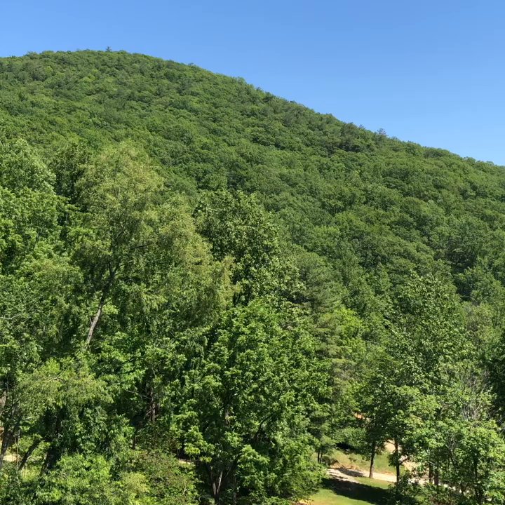 Ankida Ridge Vineyards - Wineries Near Me - Amherst, Virginia