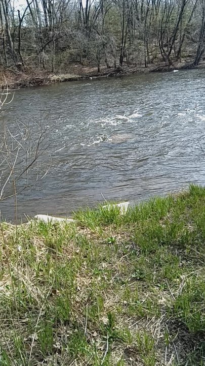 Sauk River Regional Park - Hiking Near Me - Saint Cloud, Minnesota