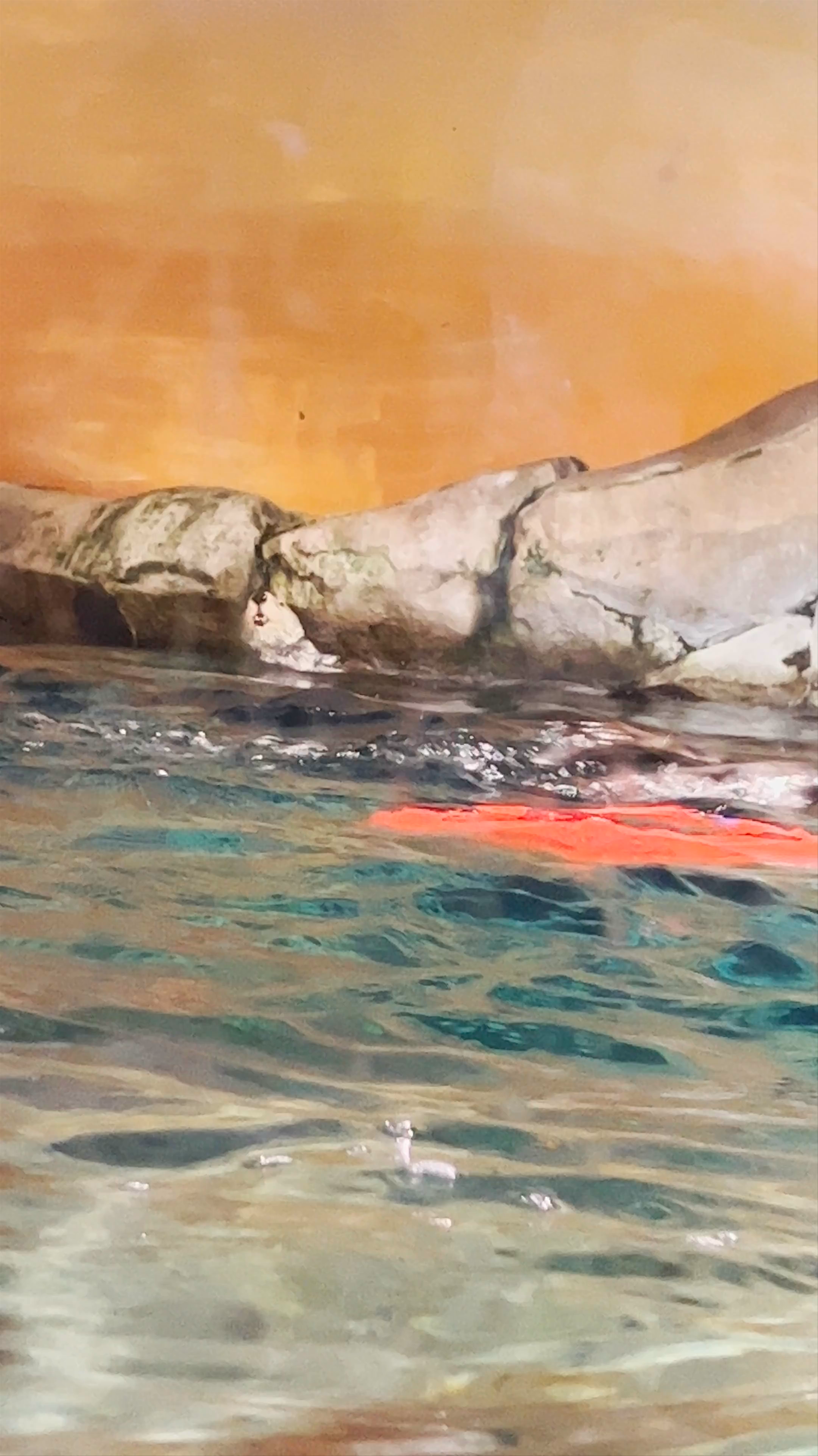 Atlanta Aquarium