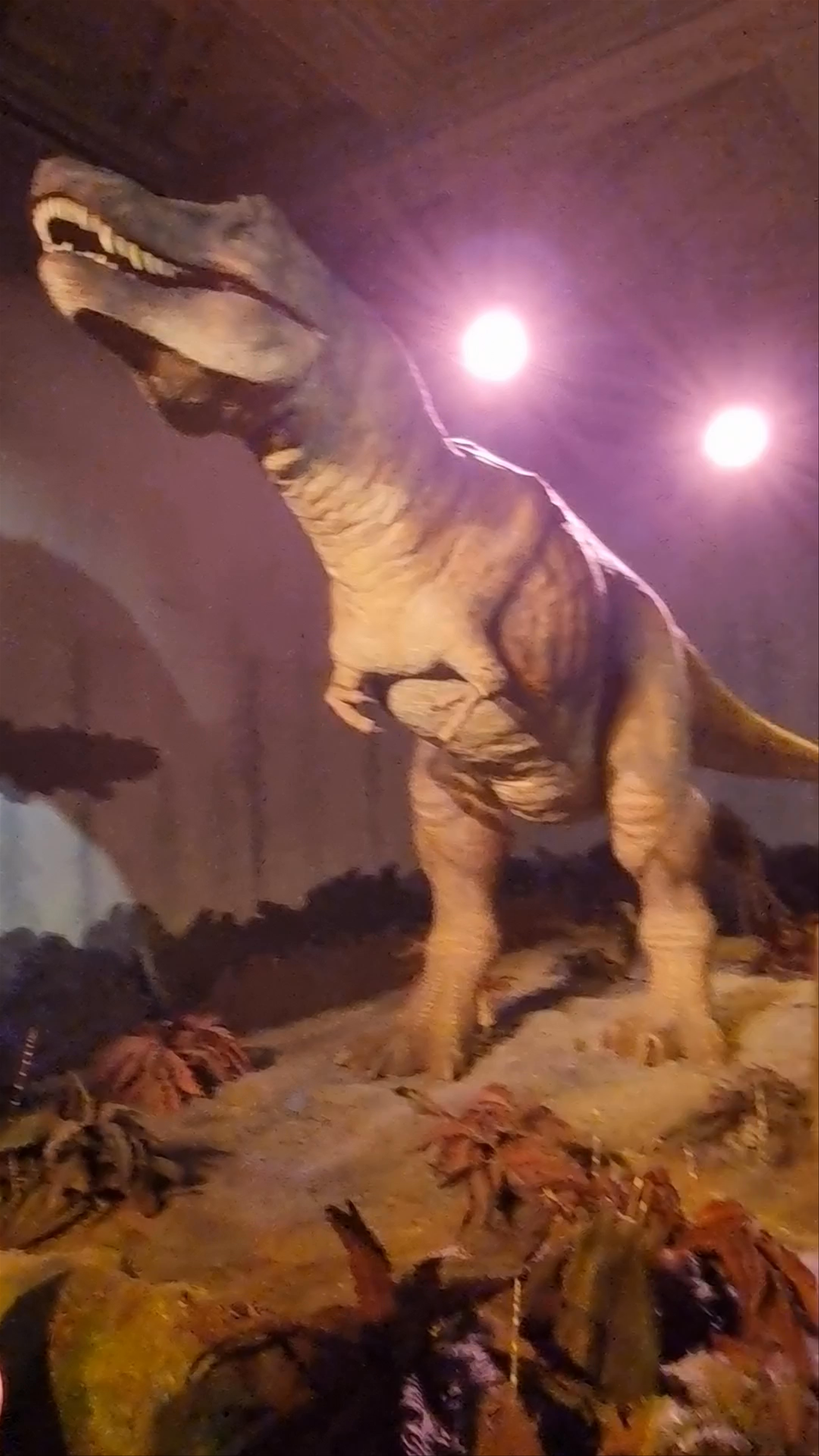 Natural History Museum
