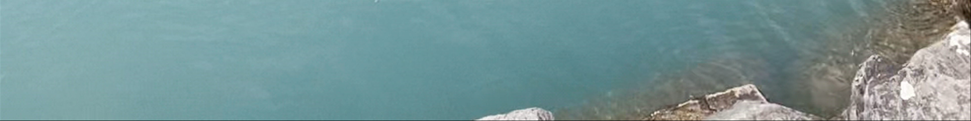 Tours & experiences in Langenthal