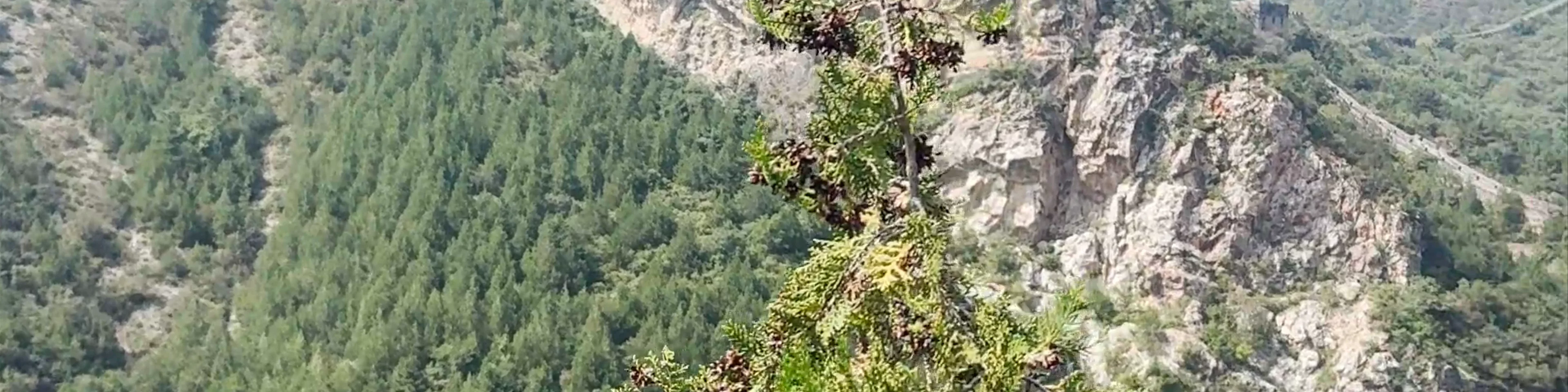 Simatai Great Wall Tourist Area