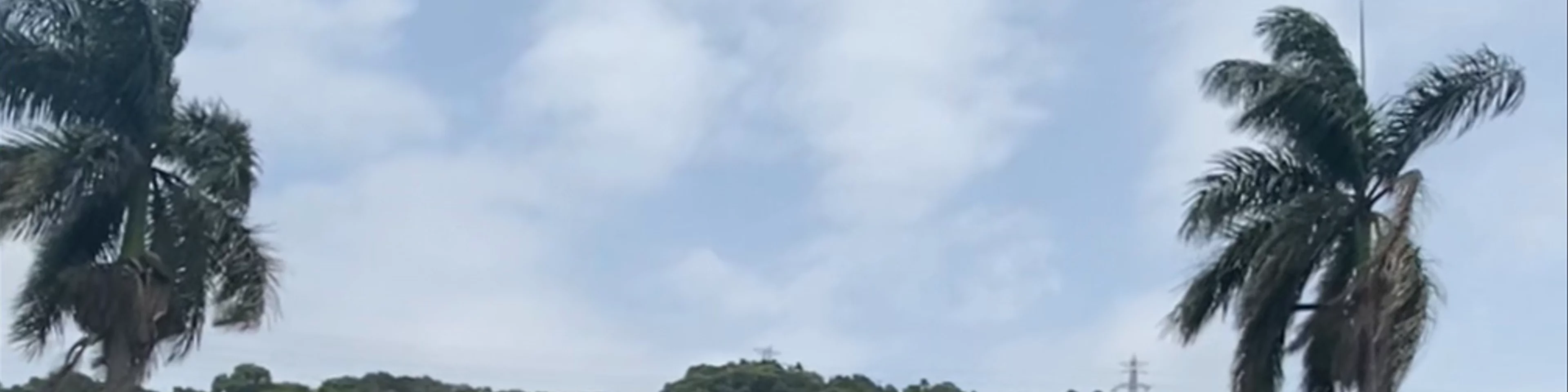 National Palace Museum