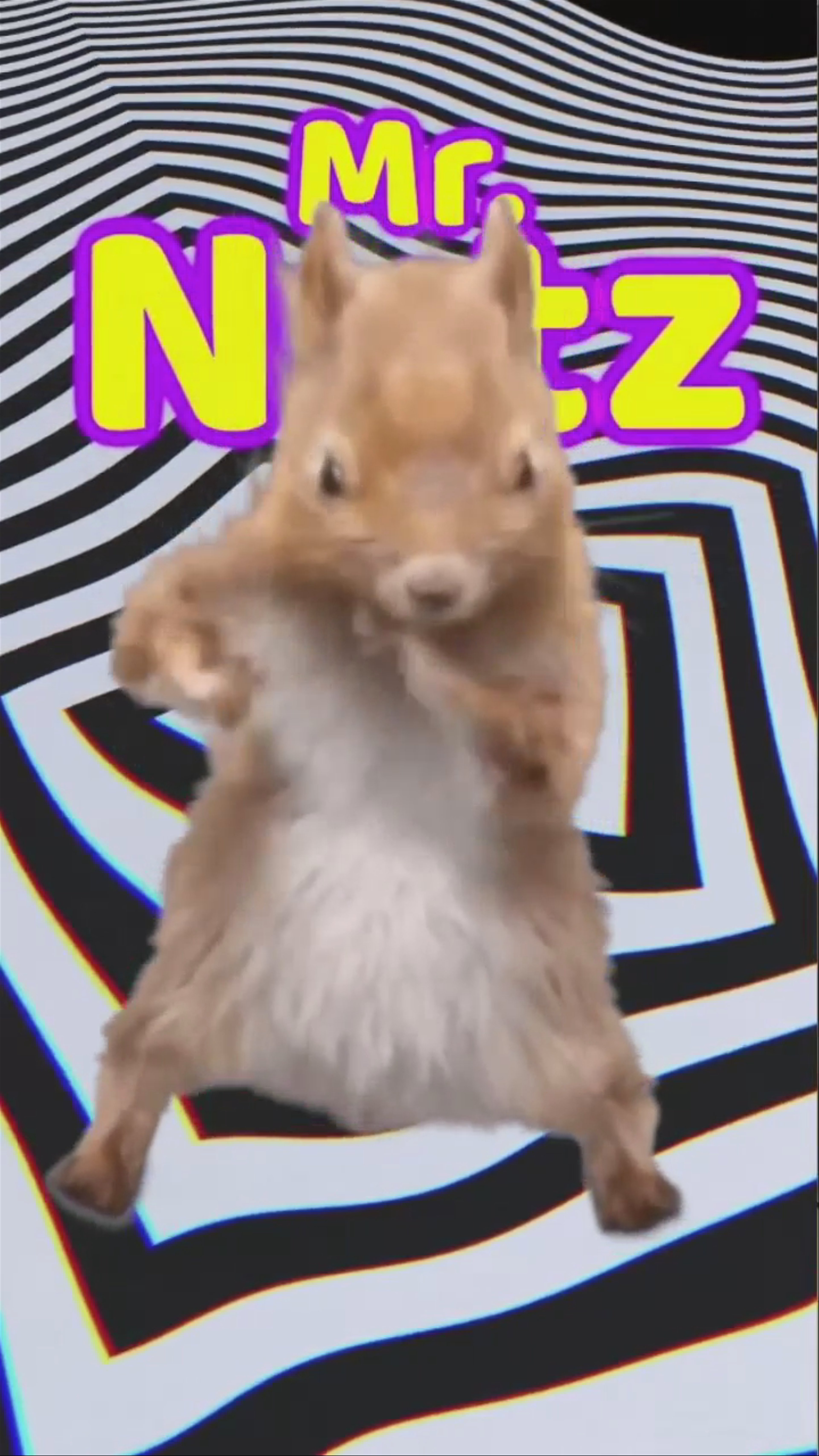 Come see Mr. Nutz!!🐿️🔥