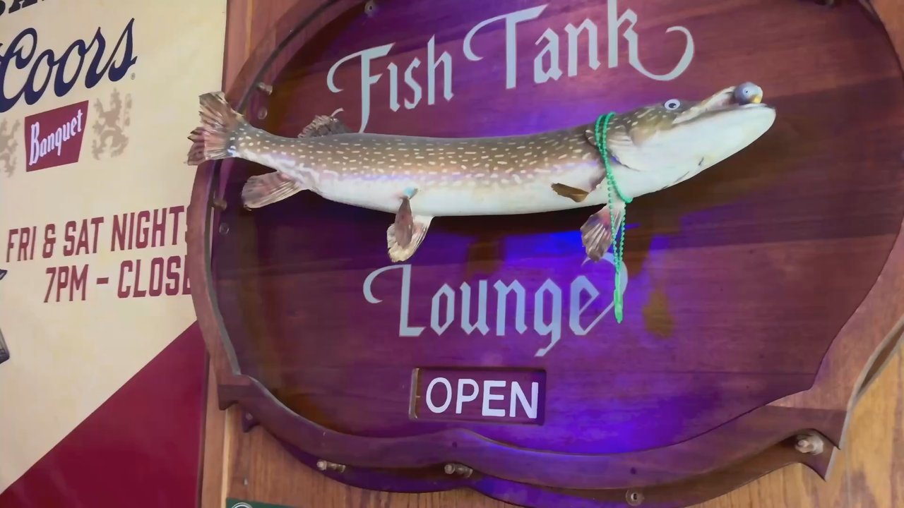 Steak-Out Saloon - OK sounds good. I think this is such a special place. All these people coming in are happy. Talk about the fundraiser. - Bars Near Me - Fort Collins, Colorado