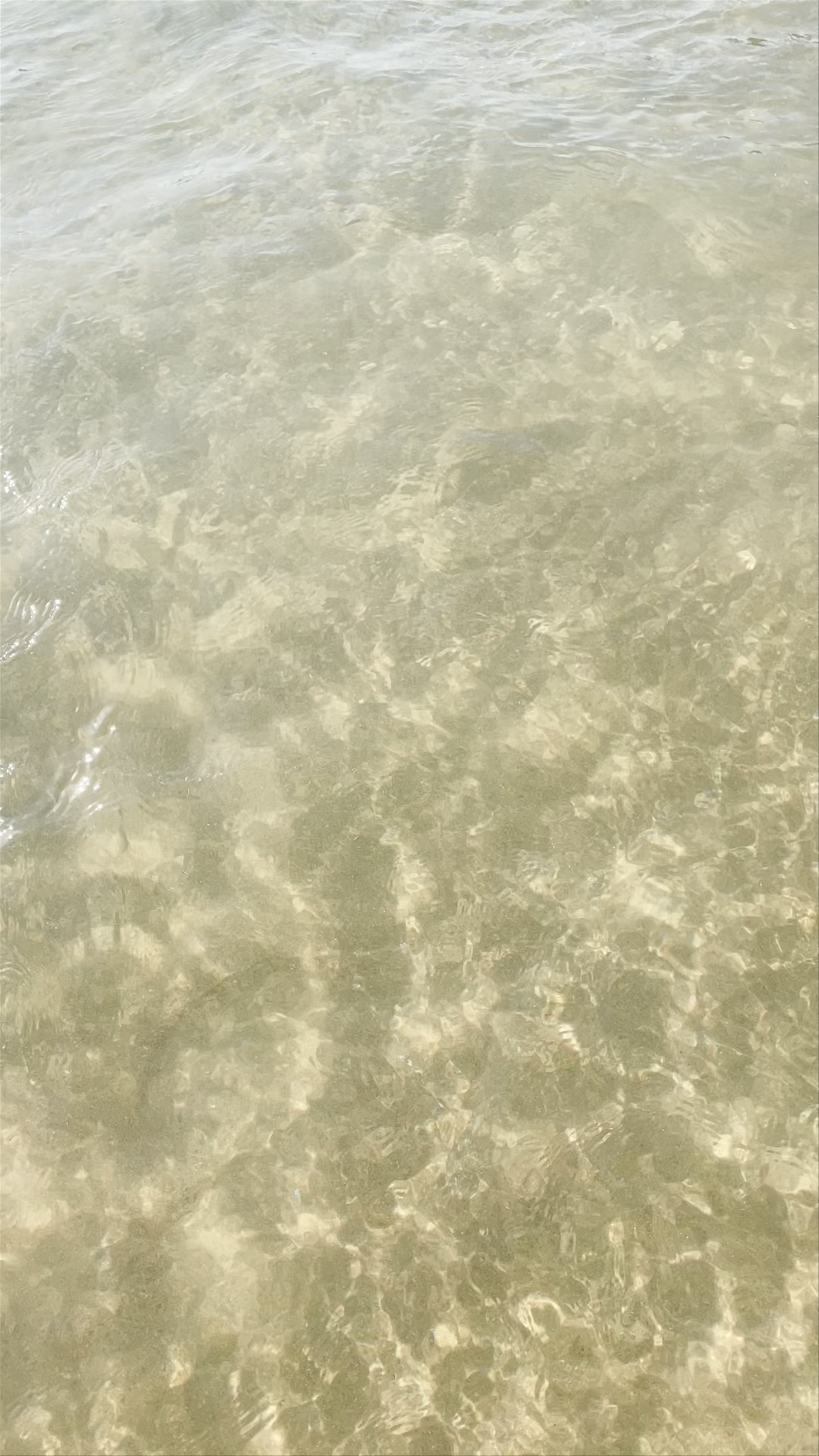 Playa de la concha