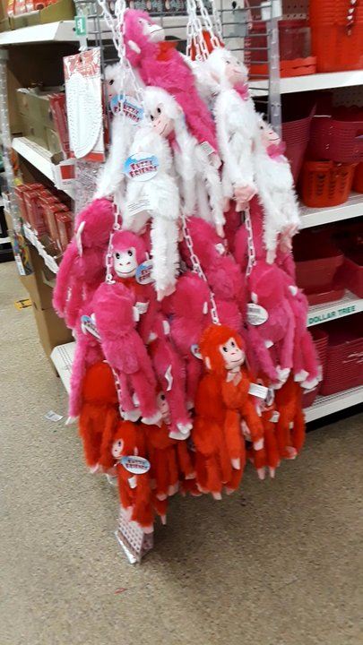 Dollar Tree - Valentine things at Dollar Tree - Discount Store Near Me - Westbury, New York