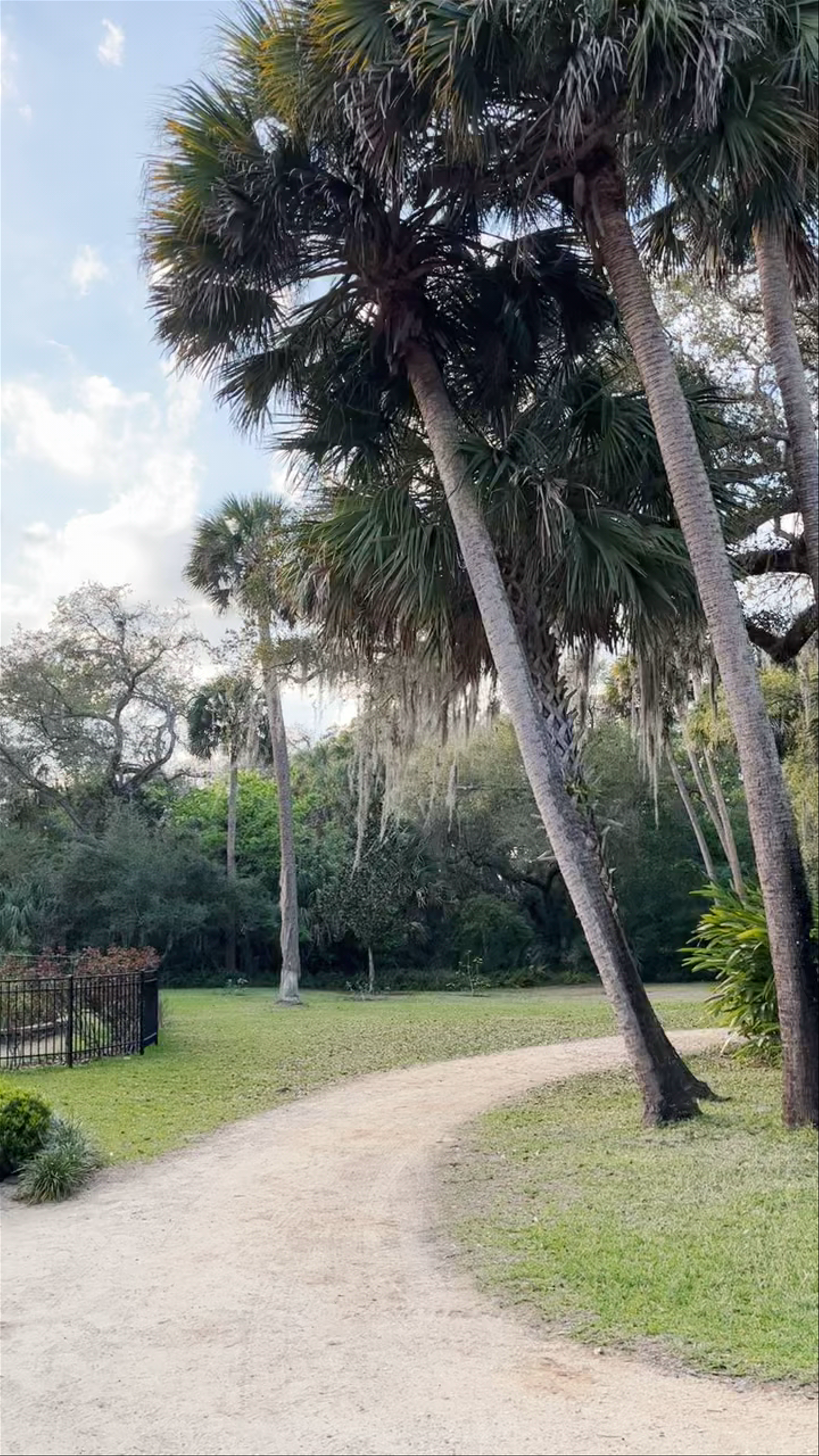 Washington Oaks Gardens State Park: Serene Coastal Gardens in Palm Coast, Florida