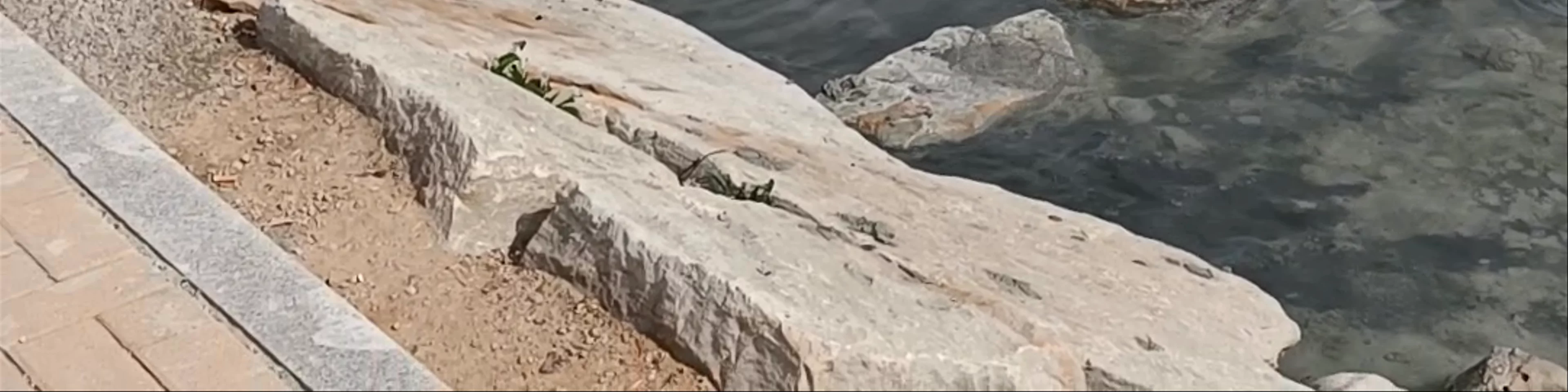 Baños de lodo