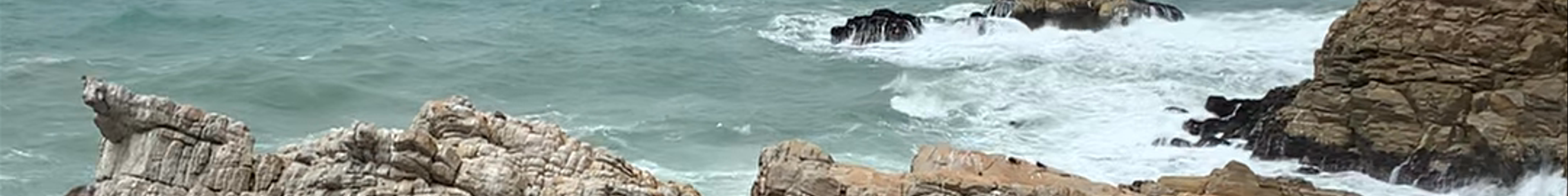 Tours & experiences in Mossel Bay
