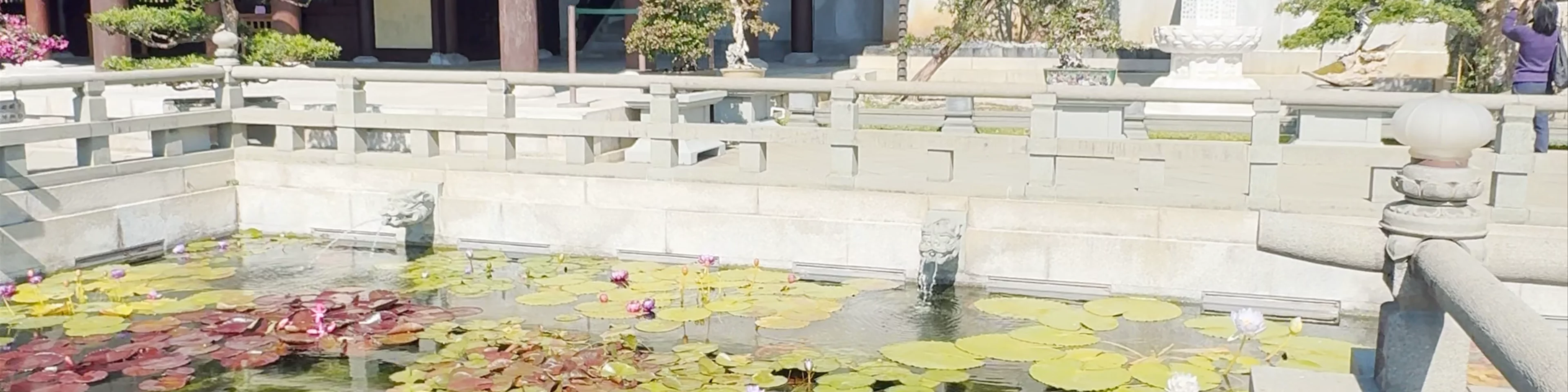 Nan Lian Garden