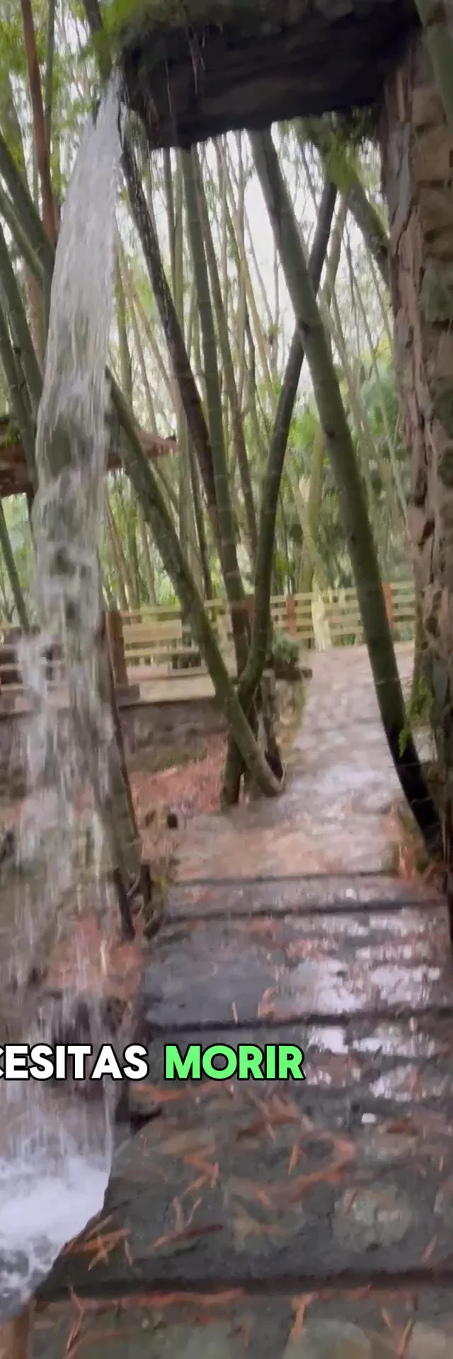Visita a un Eco Hotel