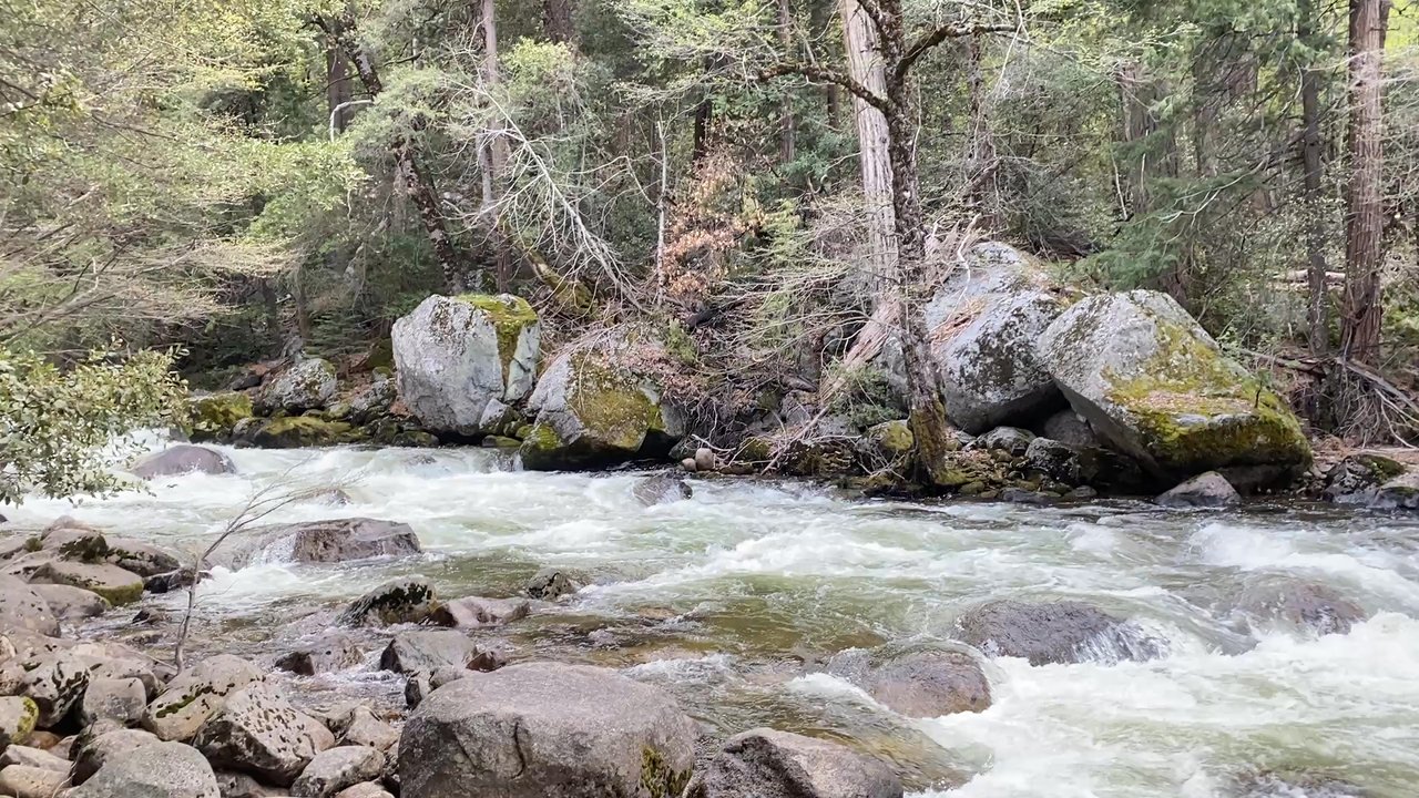 Happy Isles - Spring stream - Walking Tours Near Me