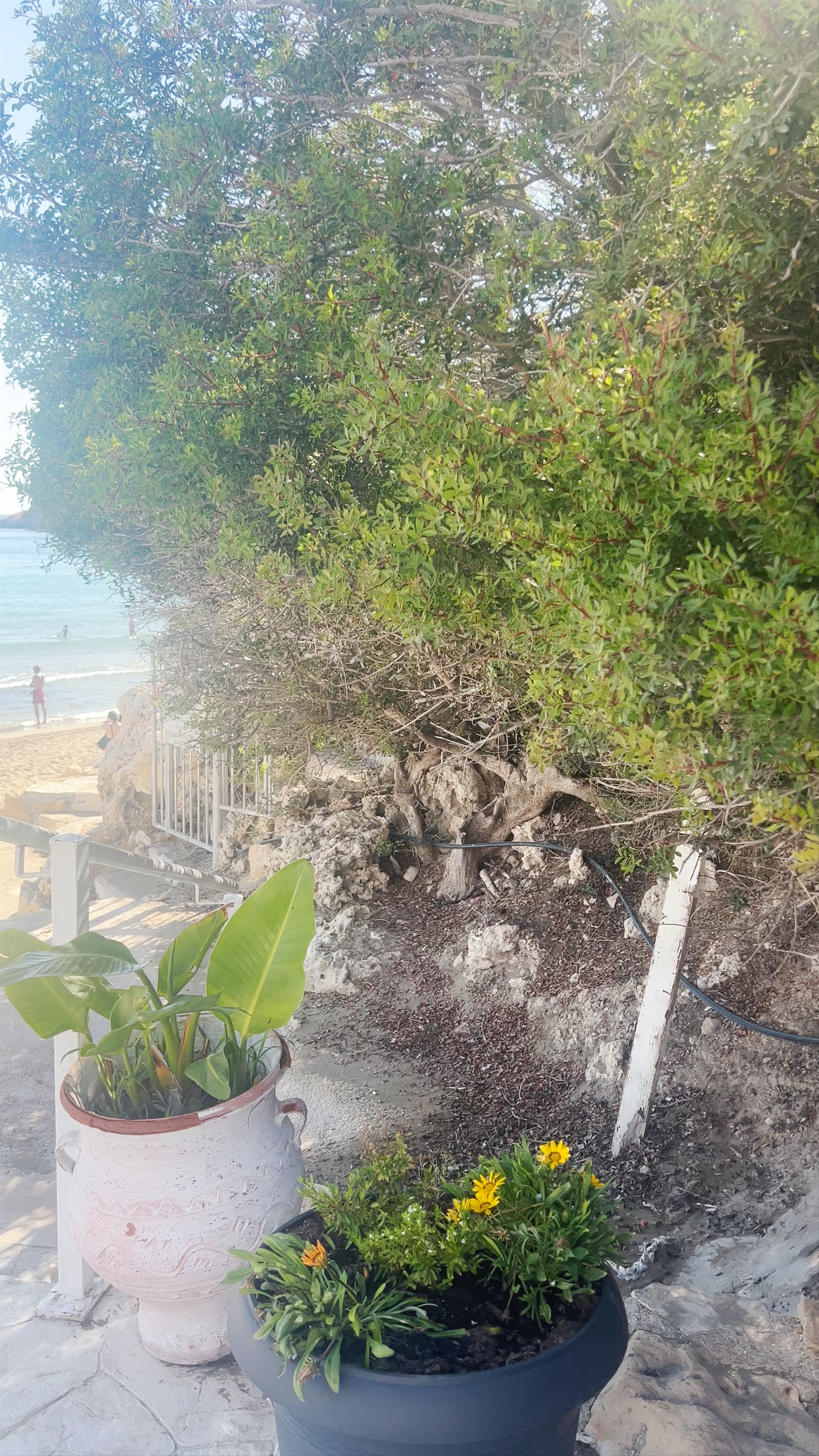 Coral Bay