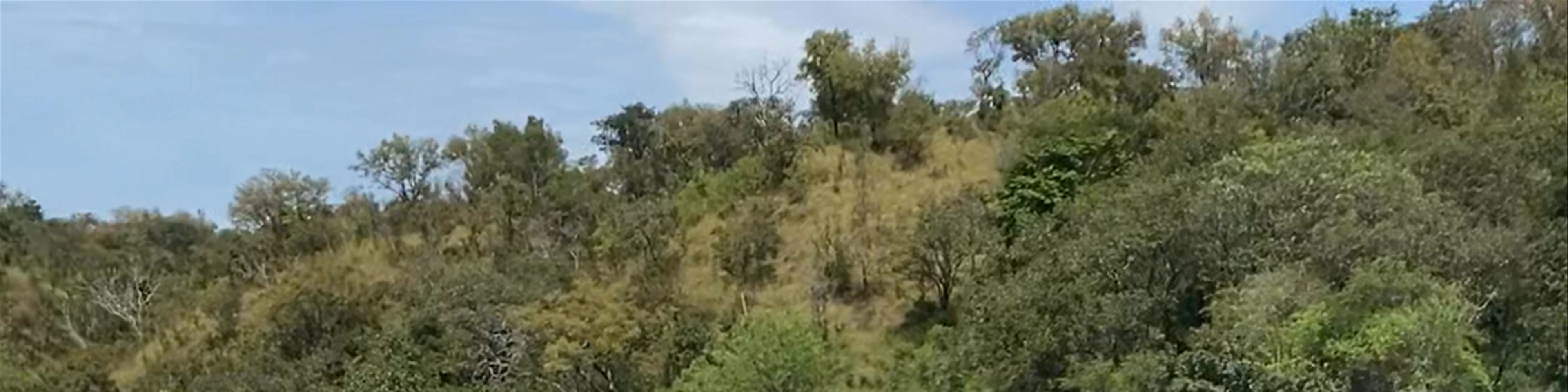 Masindi