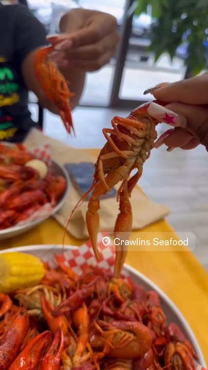 Crawlins Seafood - Small in size. Not big crawfish at all. - Seafood Near Me - Terrytown, Louisiana